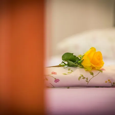 Lägenhet Milan Makarska