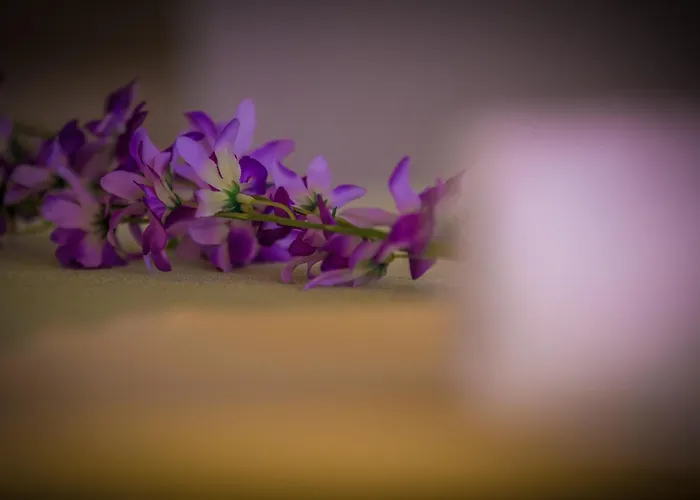 Milan * マカルスカ