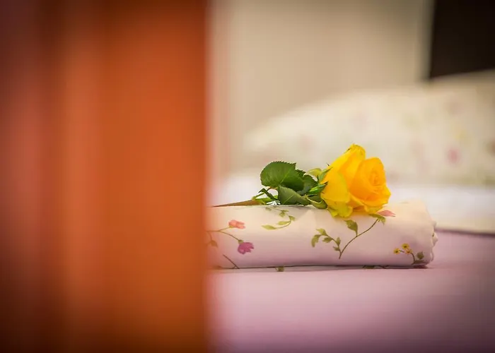 Daire Milan Makarska